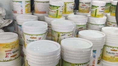 गोबर पेंट बेचने वाले ग्रुप ने 3 महीने में एक लाख 27 हजार रुपए से ज्यादा की कमाई, 1000 लीटर का मिला ऑर्डर.... 16