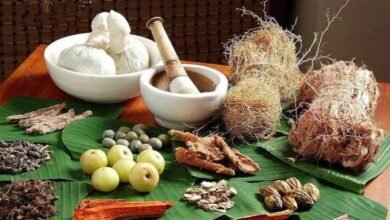 सियान जतन क्लिनिक कार्यक्रम के तहत हर गुरुवार को बुजुर्गों के लिए मुफ्त इलाज की सुविधा 2