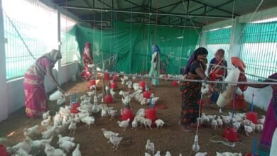 महिला स्वयं सहायता समूह की सदस्य बनें आर्थिक रूप से सशक्त... 12