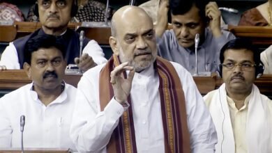 Amit Shah in Parliament