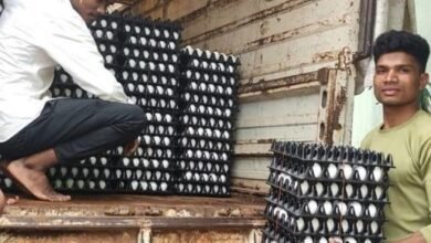 अंडे के विक्रय से महिला समूह को मिल रही अच्छी आमदनी 6