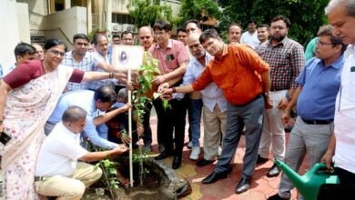 एक पेड़ माँ के नाम” स्व. श्रीमती पूजा थापक की स्मृति में जनसम्पर्क परिसर में रोपा हरसिंगार का पौधा 22 एक पेड़ माँ के नाम