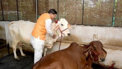 मुख्यमंत्री ने जन्माष्टमी पर प्रदेशवासियों को दीं मंगलकामनाएं