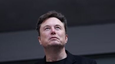 एलन मस्क ने गलत सूचना कानून को लेकर ऑस्ट्रेलियाई सरकार को 'fascists' करार दिया 8 Elon Musk calls Australian government