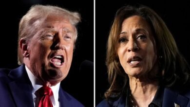 Donald Trump took office