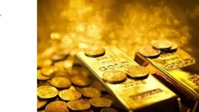 Gold rises