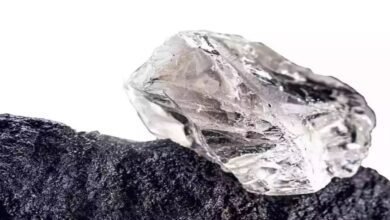 India needs to focus on building processing capabilities for critical minerals