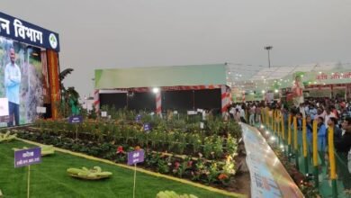 रायपुर : छत्तीसगढ़ राज्योत्सव में संचालनालय उद्यानिकी द्वारा तैयार बागवानी का आकर्षक जीवंत प्रदर्शन 9 छत्तीसगढ़ राज्योत्सव में संचालनालय उद्यानिकी