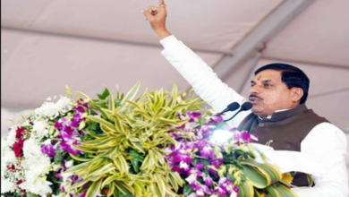 हमारी सरकार ने मऊगंज को जिला बनाया, अब हम दे रहे हैं विकास की सौगातें : मुख्यमंत्री डॉ. यादव 6