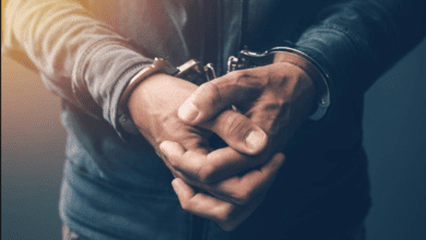 "पुष्पा 2" के शो के दौरान थिएटर से ड्रग्स तस्कर पकड़ा गया 1