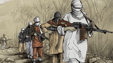 तहरीक-ए-तालिबान: पाकिस्तान क्यों नहीं जीत पाएगा इस युद्ध में? हवाई हमले से युद्ध की घोषणा? 10