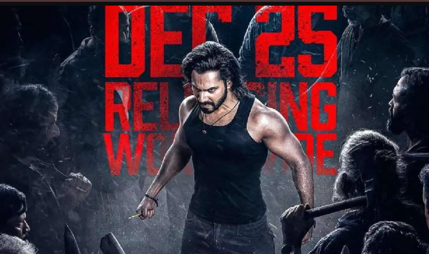"पुष्पा 2" ने "बेबी जॉन" को पछाड़ा, वरुण धवन की फिल्म धमाका नहीं कर पाई? 1