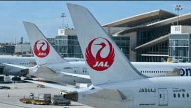 जापान एयरलाइंस पर साइबर अटैक, उड़ानें देर से, टिकटों की बिक्री बंद! 9