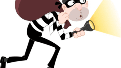 15 से ज़्यादा दुकानों के ताले टूटे, बदमाशों ने 'ख़ुल्ले' में की चोरी 3