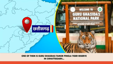 'मन की बात' देशवासियों की उपलब्धियों, मानवता की सेवा के कार्यों और नवाचार की जानकारियों का अनूठा संगम: मुख्यमंत्री श्री विष्णुदेव साय 18