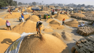 मुख्यमंत्री श्री विष्णु देव साय के पहल पर निरंतर धान खरीदी का सिलसिला जारी 7