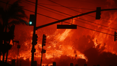 लॉस एंजिल्स में आग लगने से तबाही मच गई, 150 अरब डॉलर का हुआ नुकसान!! 1