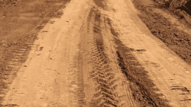 मुख्यमंत्री विष्णुदेव साय के नेतृत्व में बन रही विकास की नई सड़क 1