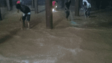 जरवाय ओवर हेड टैंक की शील्ट सफाई सुबह की नियमित जल आपूर्ति पश्चात की गयी 18