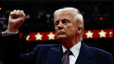 ट्रम्प का 500 बिलियन डॉलर का AI प्रोजेक्ट "जल्दी काम करो और चीजें तोड़ दो", गंभीर जोखिम 10