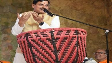 आदि शंकराचार्य की शिक्षाओं ने समाज को प्रदान की नई दिशा : मुख्यमंत्री डॉ. यादव 8