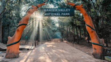 рдмрд╕реНрддрд░ рдХрд╛ рдХрд╛рдВрдЧреЗрд░ рдШрд╛рдЯреА рд░рд╛рд╖реНрдЯреНрд░реАрдп рдЙрджреНрдпрд╛рди рдпреВрдиреЗрд╕реНрдХреЛ рдХреА рд╡рд┐рд╢реНрд╡ рдзрд░реЛрд╣рд░ рдХреА рдЕрд╕реНрдерд╛рдпреА рд╕реВрдЪреА рдореЗрдВ рд╣реБрдЖ рд╢рд╛рдорд┐рд▓ 6