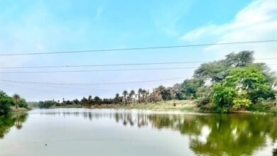 प्रधानमंत्री श्री मोदी 31 मई को क्षिप्रा नदी पर 778 करोड़ के घाट निर्माण कार्यों का भोपाल से करेंगे वर्चुअल भूमि-पूजन 7