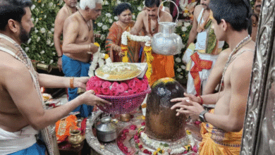 भक्ति और आस्था से गूंजा उज्जैन: महाकाल मंदिर में पंचमी पर हुआ दिव्य अभिषेक और भस्म आरती 12